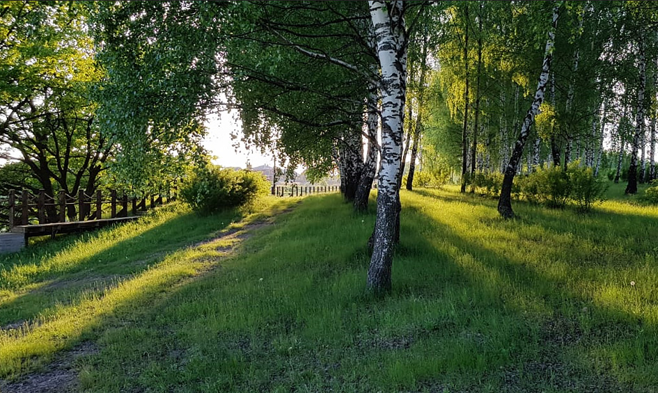 Поселок Родники Экопарка