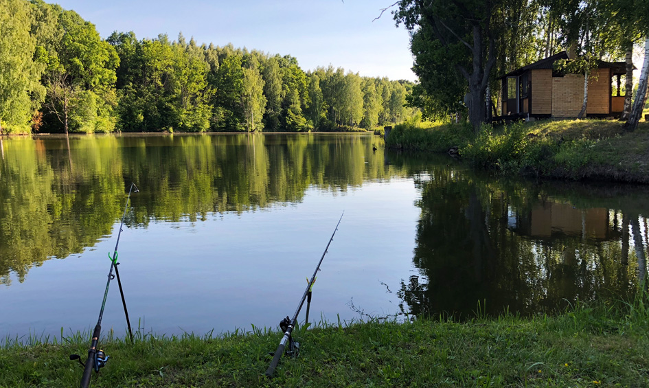 Поселок Родники Экопарка